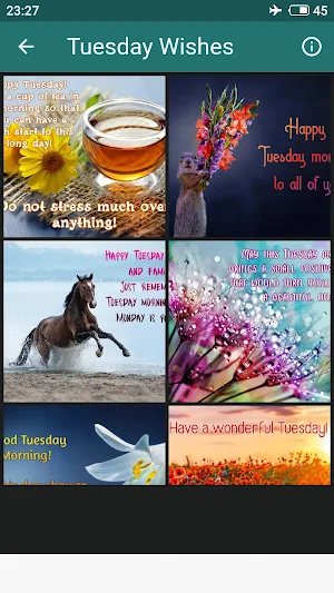 Everyday Morning Wishes Screenshot 1
