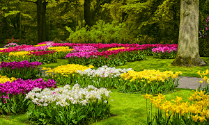 Garden Photo Frames Editor Screenshot 1