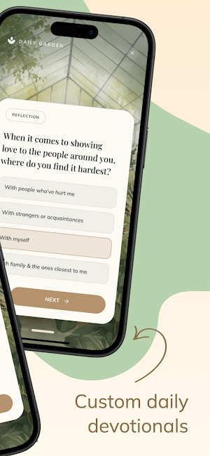 Six Seeds Screenshot 1