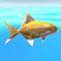 Fish Run