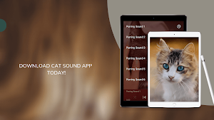 Cat Sounds - Cat Meow Sounds Ringtones Screenshot 2