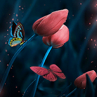 Tulip Flowers Butterfly LWP