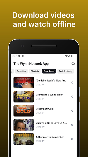 The Wynn Network Screenshot 1