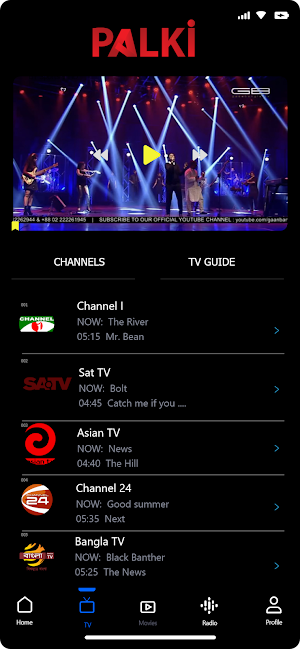 Palki TV Screenshot 3