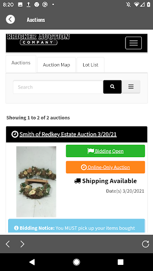 Bricker Screenshot 3