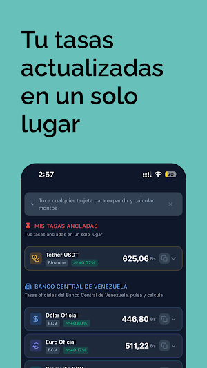 Referencias VE Screenshot 2