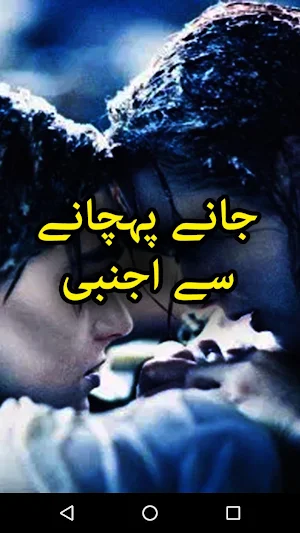 Jany Pehcahny Se Ajnabi by Sawera Ahmad - Offline Screenshot 0
