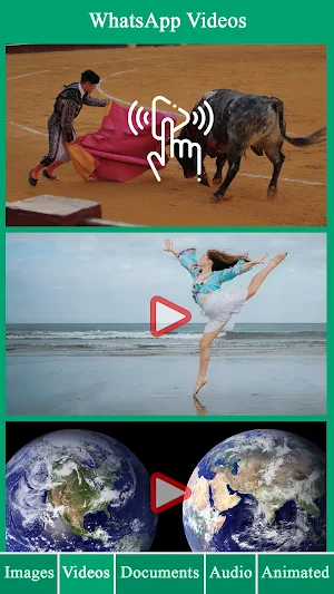 WA Gallery - Status Saver App Screenshot 2