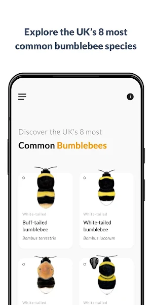What’s that bumblebee Screenshot 0