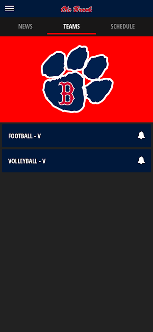 Brookhaven Athletics Screenshot 3
