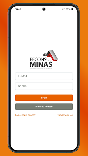 Feconsulminas Screenshot 0