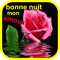 bonne nuit mon amour