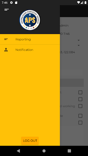 APS Reporting Screenshot 2