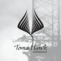 TomaHawk DH Motor Book