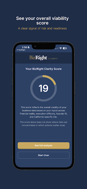 BizRight Clarity Screenshot 3