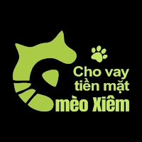 Cho vay tiền mặt mèo Xiêm