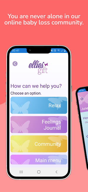 Ellies Gift Screenshot 2