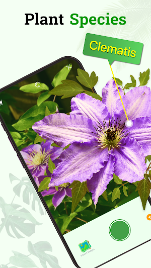 Plant Identifier Plant ID Screenshot 2