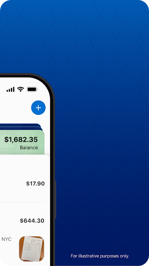 Amex Expense Screenshot 1