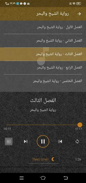 رواية الشيخ والبحر PDF ومسموع Screenshot 0