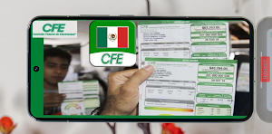 Recibo de Luz CFE Guía Screenshot 0
