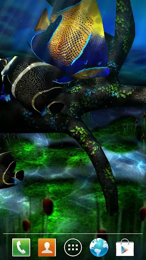 My 3D Fish II Screenshot 2