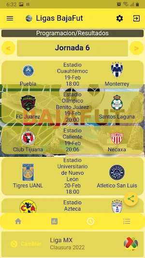Ligas BajaFut Screenshot 3