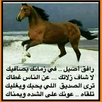 رسائل مدح