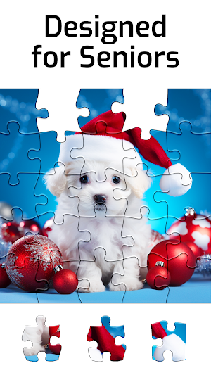Puzzles for Seniors Screenshot 0