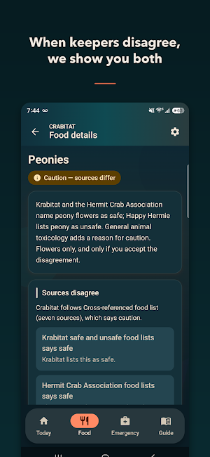Crabitat: Hermit Crab Care Screenshot 2