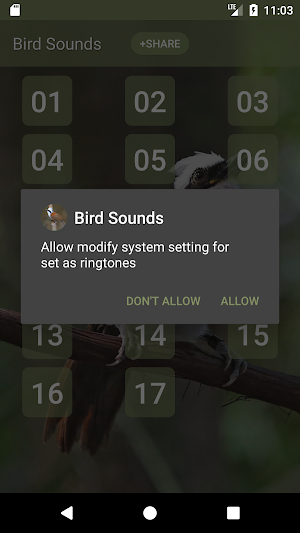 Laughingthrushes Bird Sounds Screenshot 2