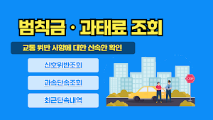 범칙금과태료조회: 신호위반조회, 과속단속조회 Screenshot 0