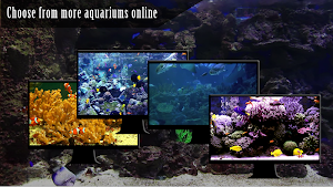 Peaceful Aquarium HD Screenshot 2
