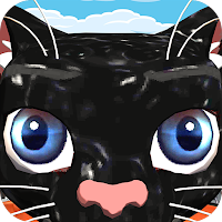 Oily Cat