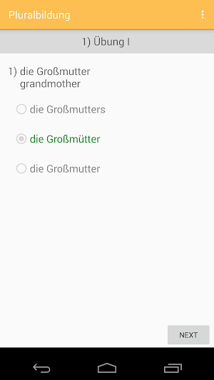 Pluralbildung - German Nouns Screenshot 1
