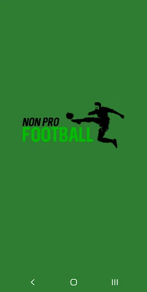 Non Pro Football Screenshot 0