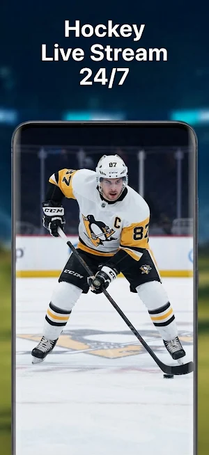 Ice Hockey Live TV HD Screenshot 3