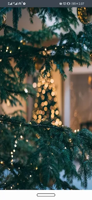 Christmas Photo Frames 2020 Screenshot 3