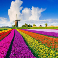 Netherlands Holland