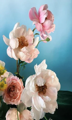 Beautiful flowers 🌺 Gif - Colorful Flowers in HD Screenshot 0
