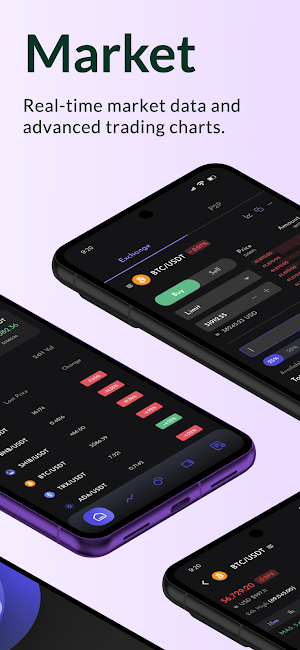 Shouxin Screenshot 2