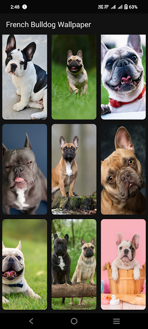 French Bulldog Wallpaper Screenshot 2