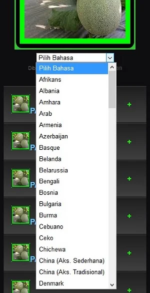 how to plant melons Screenshot 0