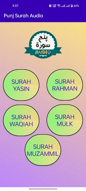 Punj Surah Audio Screenshot 3