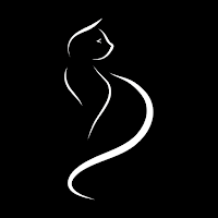 Gatto Bianco