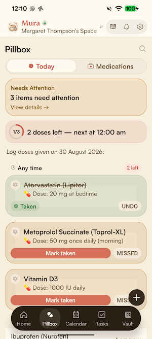 Mura Screenshot 1