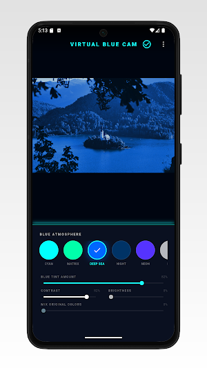 4K Virtual Blue Kamera Screenshot 0