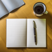 Daily Journal Pro