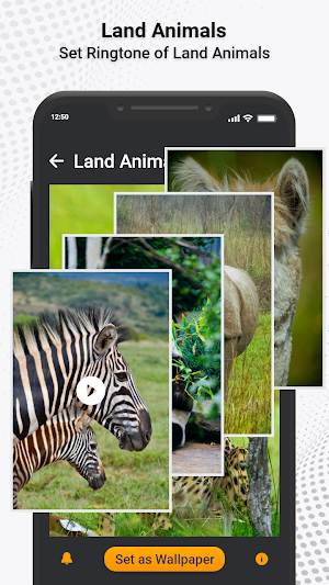 Animal Ringtones & Sounds Screenshot 2