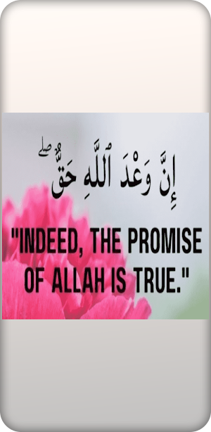 Quranic quotes Screenshot 0